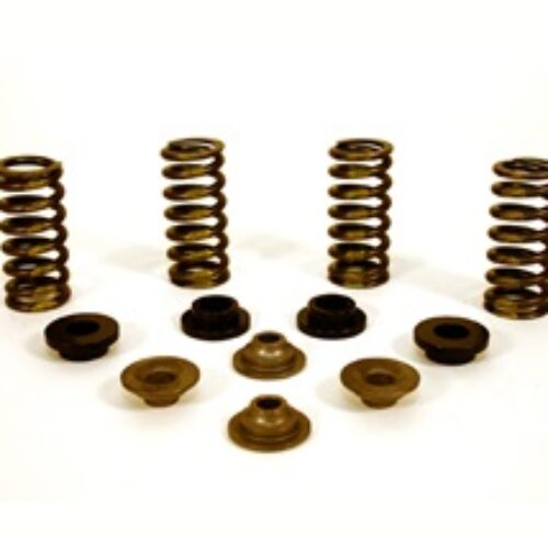 Valve Spring Kit