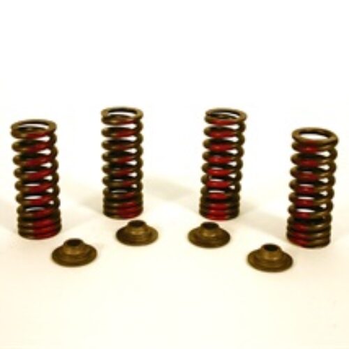 Valve Spring Kit