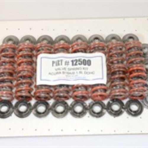 Valve Spring Kit