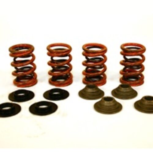 Valve Spring Kit