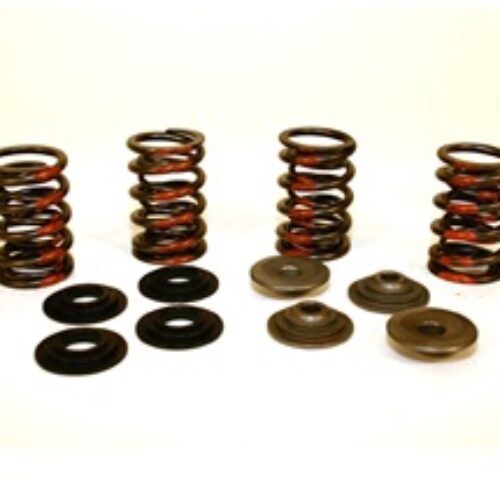 Valve Spring Kit