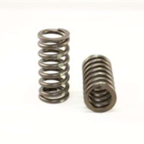 Valve Spring Set