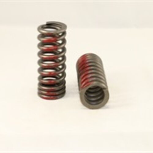 Valve Spring Set