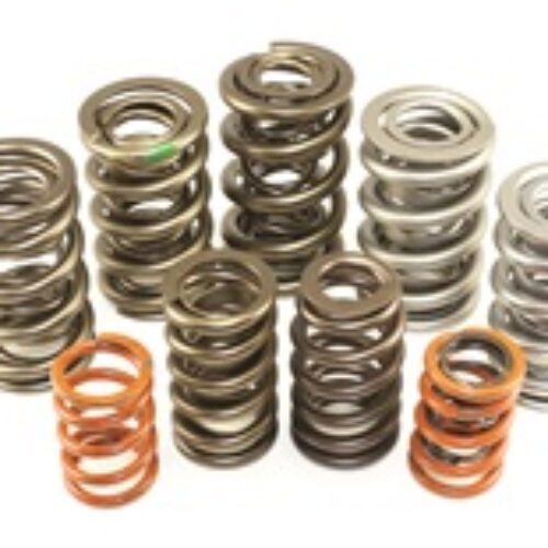 Valve Spring Set