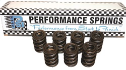 PSI Sportsman Drag Race Valve Spring